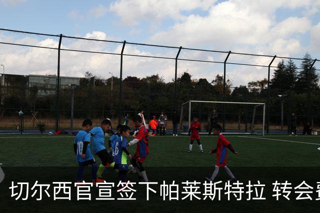 切尔西官宣签下帕莱斯特拉 转会费超5500万欧签约7年